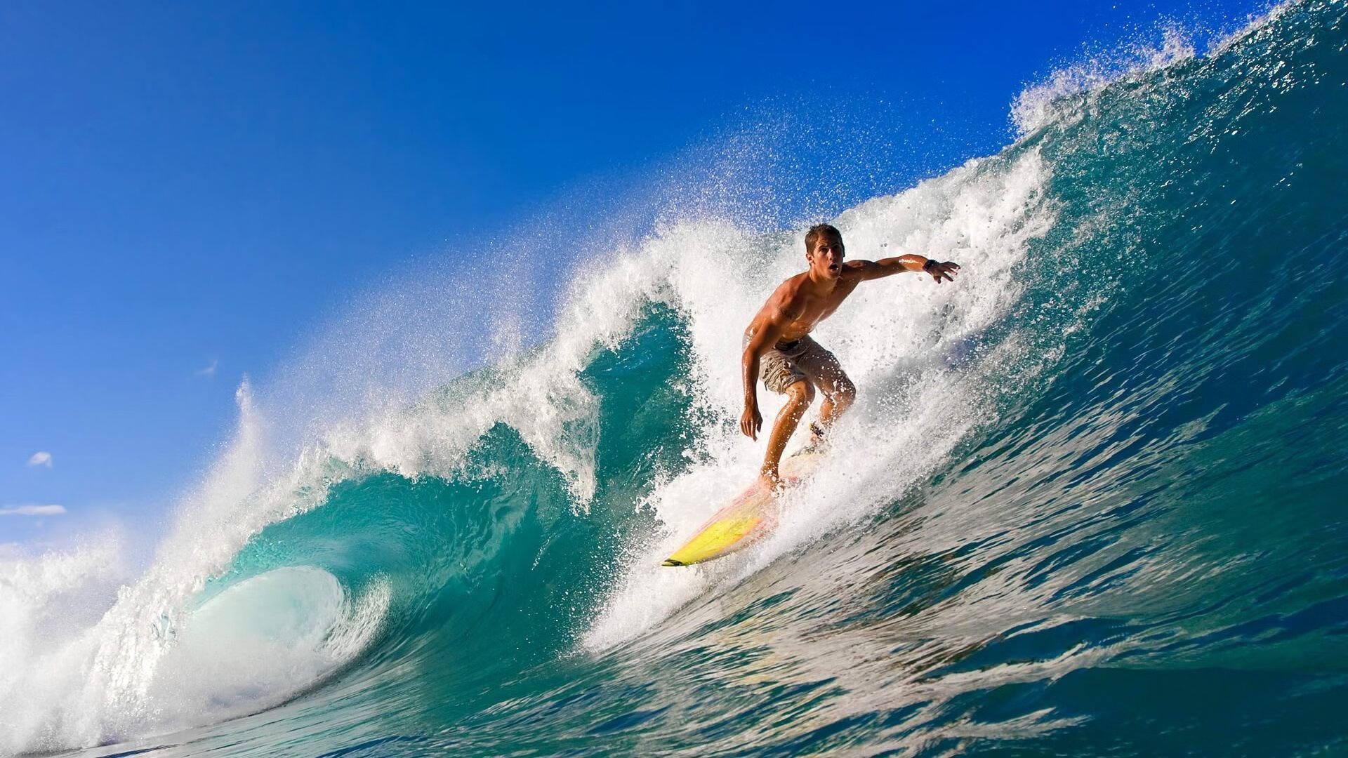 开云·体育官方网站入口-王宗源跳水动作流畅无瑕疵，王宗源跳水比赛